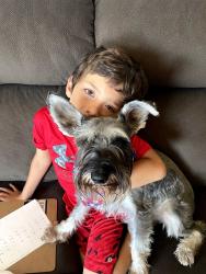 Lost Male Dog last seen El camino village , Lawndale, CA 90260