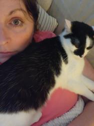 Lost Female Cat last seen Margaret street, Pickens, SC 29671