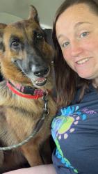 Found/Stray Female Dog last seen Claysville welcome center, Claysville, PA 15323
