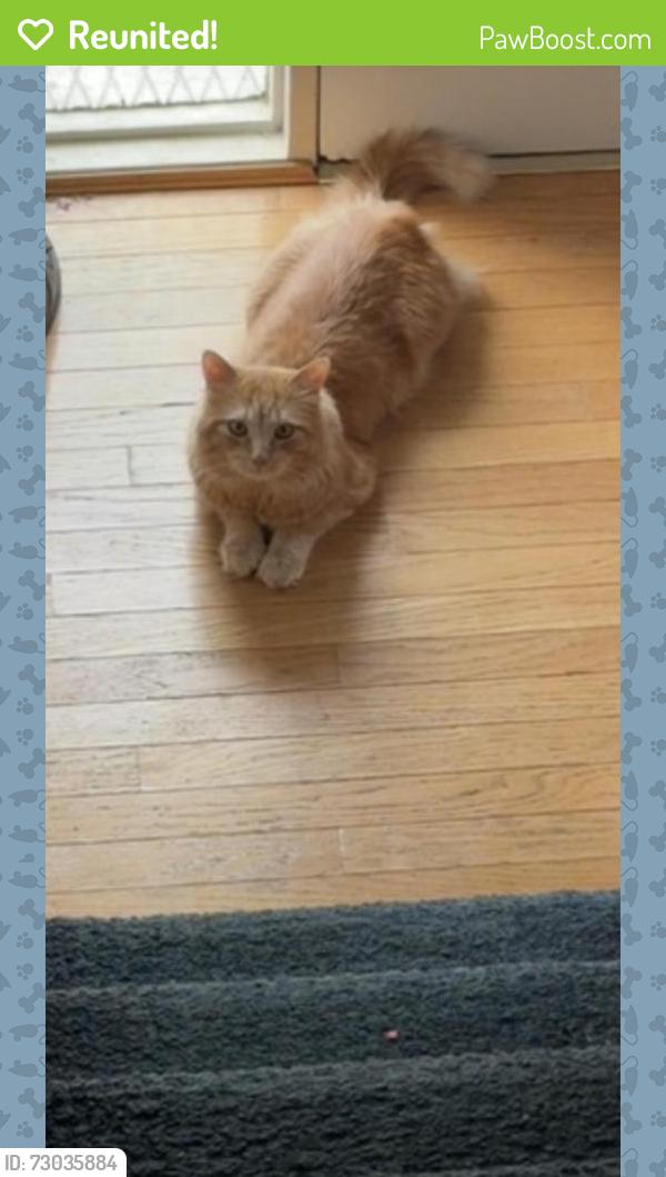 Reunited Male Cat last seen Near E Amherst Dr, Aurora, CO 80013, USA, Aurora, CO 80013