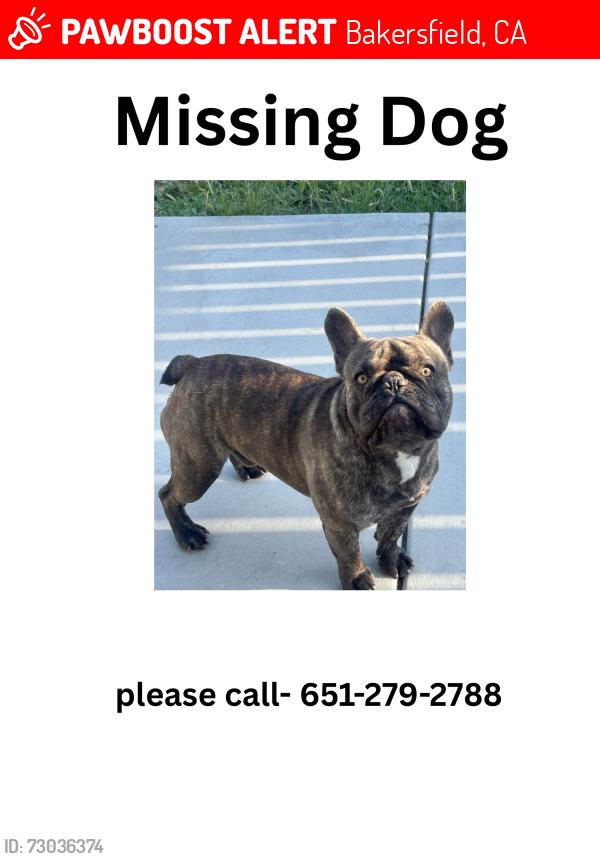 Lost Male Dog last seen Bakers, Bakersfield, CA 93313