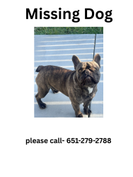 Lost Male Dog last seen Bakers, Bakersfield, CA 93313