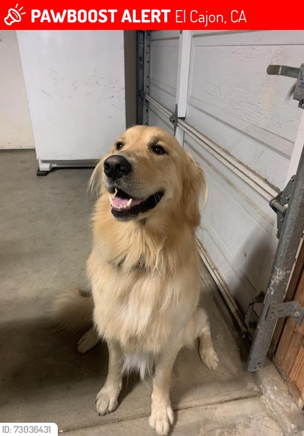 Lost Male Dog last seen Legacy ln , El Cajon, CA 92021