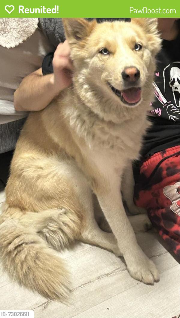 Reunited Female Dog last seen Durfee Ave/Conference St, El Monte, CA 91732