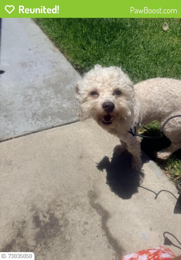 Reunited Male Dog last seen Found near 711 on Jurupa and magnolia , Riverside, CA 92502