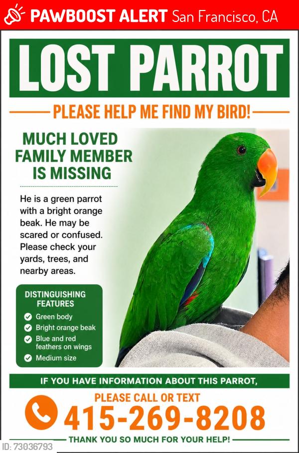 Lost Male Bird last seen Sunnydale Ave. , San Francisco, CA 94134