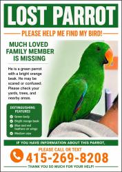Lost Male Bird last seen Sunnydale Ave. , San Francisco, CA 94134