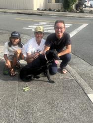 Reunited Female Dog last seen Kamilo, Honolulu, HI 96825