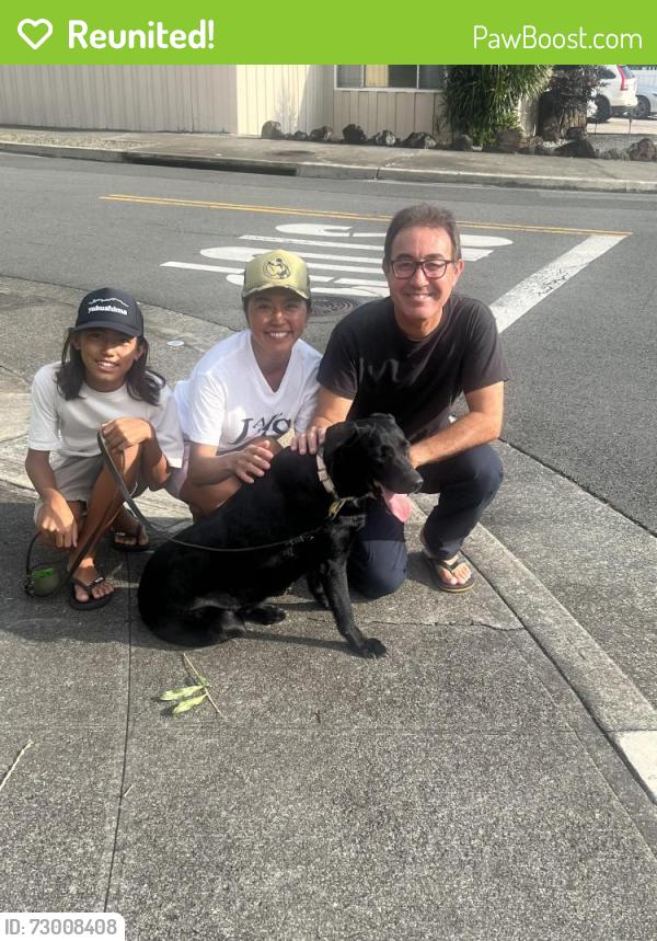 Reunited Female Dog last seen Kamilo, Honolulu, HI 96825