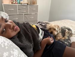 Lost Female Dog last seen Greenway, Darby, PA 19023