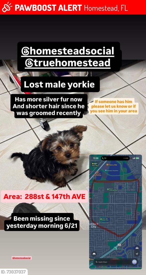 Lost Male Dog last seen 288st / 147 st hmstd florida, Homestead, FL 33033