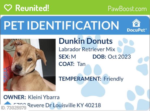 Reunited Male Dog last seen Florida , Panama City Beach, FL 32407
