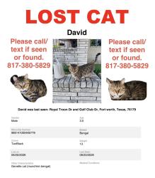 Lost Male Cat last seen Golf club & Royal Troon , Fort Worth, TX 76179