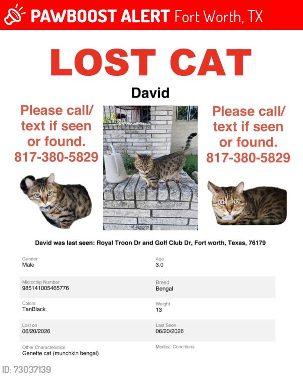 Lost Male Cat last seen Golf club & Royal Troon , Fort Worth, TX 76179