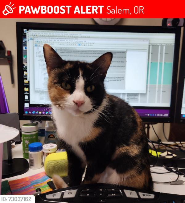 Lost Female Cat last seen Angle drive Northwood Drive, Salem, OR 97317