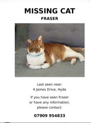 Reunited Male Cat last seen James North Clock hyde, Greater Manchester, England SK14 1RQ