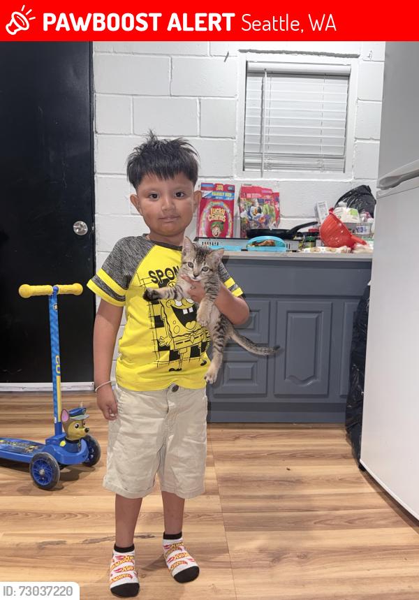Lost Male Cat last seen Near 4th Ave S Seattle, WA  98134, Seattle, WA 98134