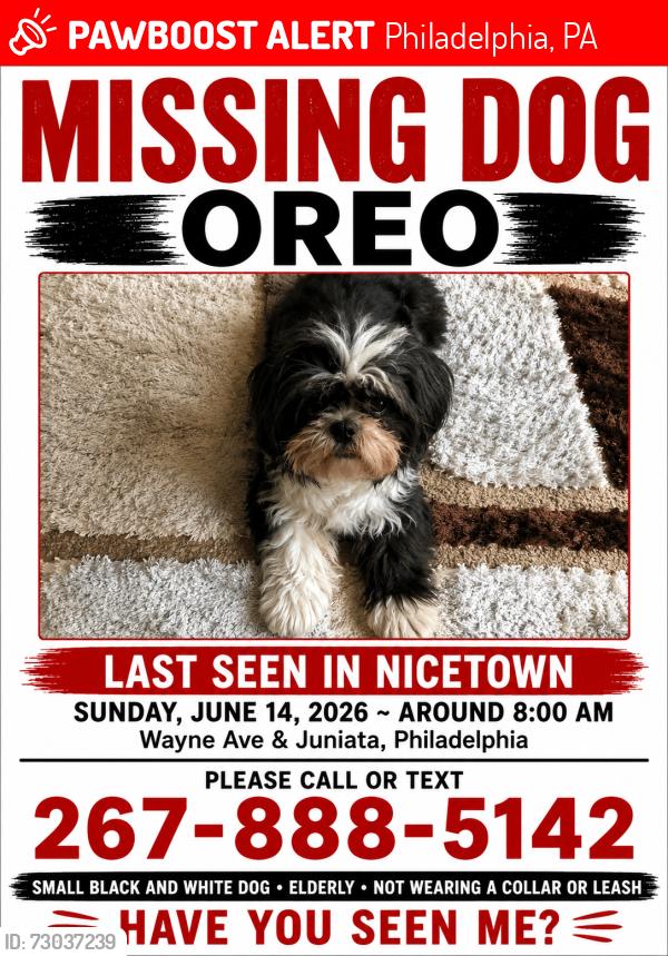 Lost Female Dog last seen Near Dounton Street, Philadelphia, PA, Philadelphia, PA 19140
