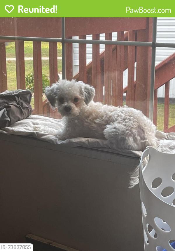 Reunited Female Dog last seen Kenny Ct, Edgewood, MD 21040, USA, Edgewood, MD 21040