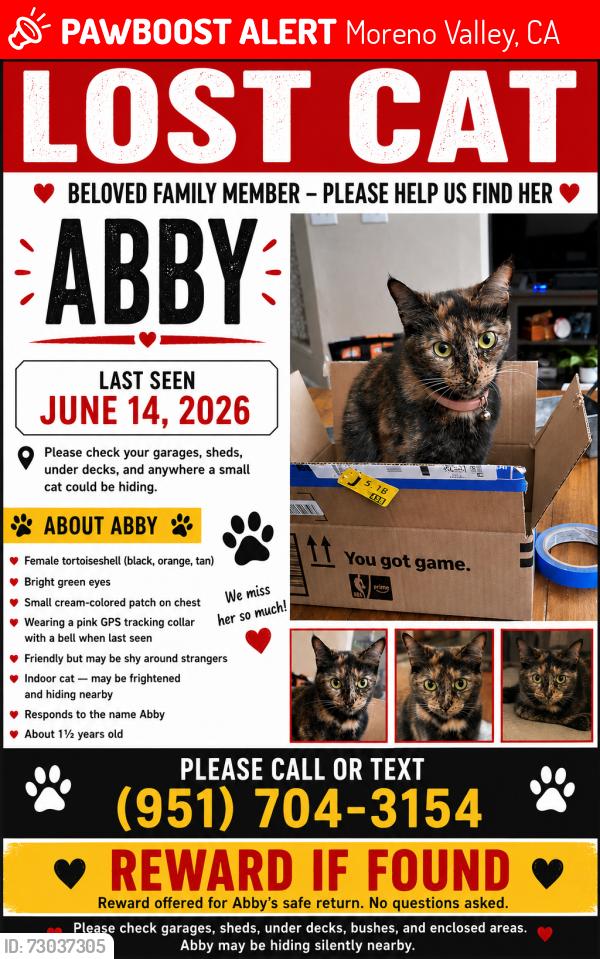 Lost Female Cat last seen Honey Hollow and Toucan pl, Moreno Valley, CA 92557