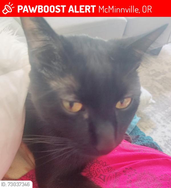 Lost Male Cat last seen Baker Creek Neighborhood , McMinnville, OR 97128
