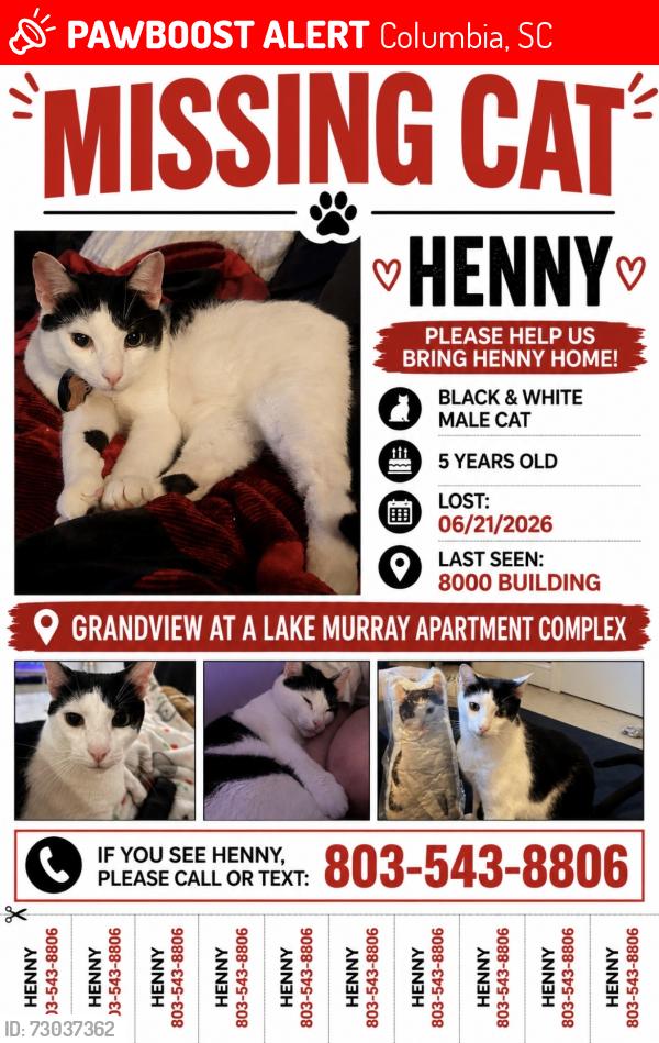 Lost Male Cat last seen Grandview at Lake Murray apmts , Columbia, SC 29212
