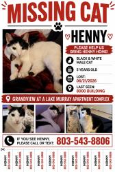 Lost Male Cat last seen Grandview at Lake Murray apmts , Columbia, SC 29212