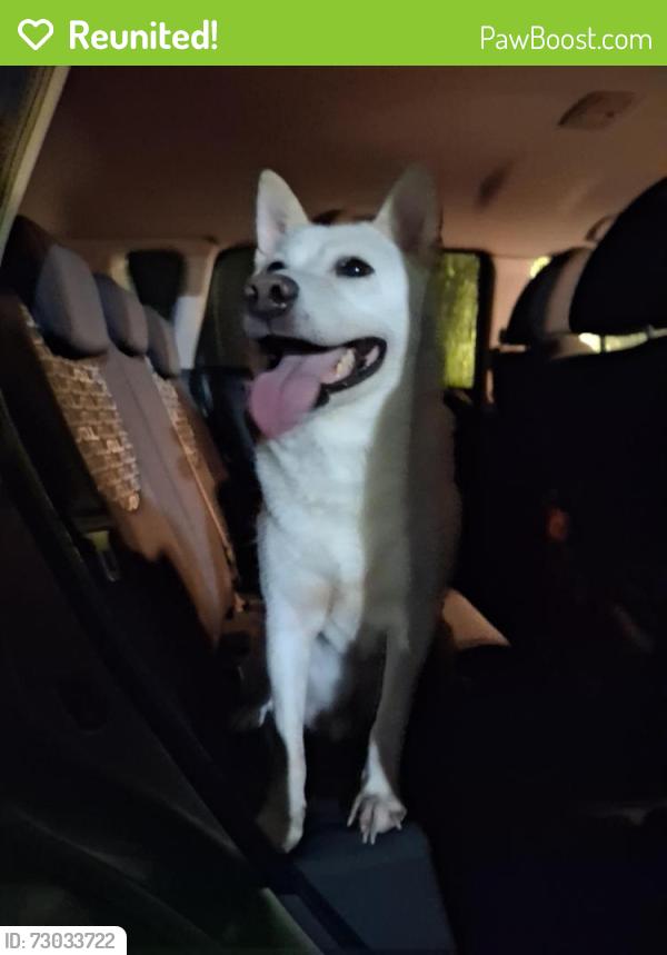 Reunited Male Dog last seen Sample and lyons, Coconut Creek, FL 33063