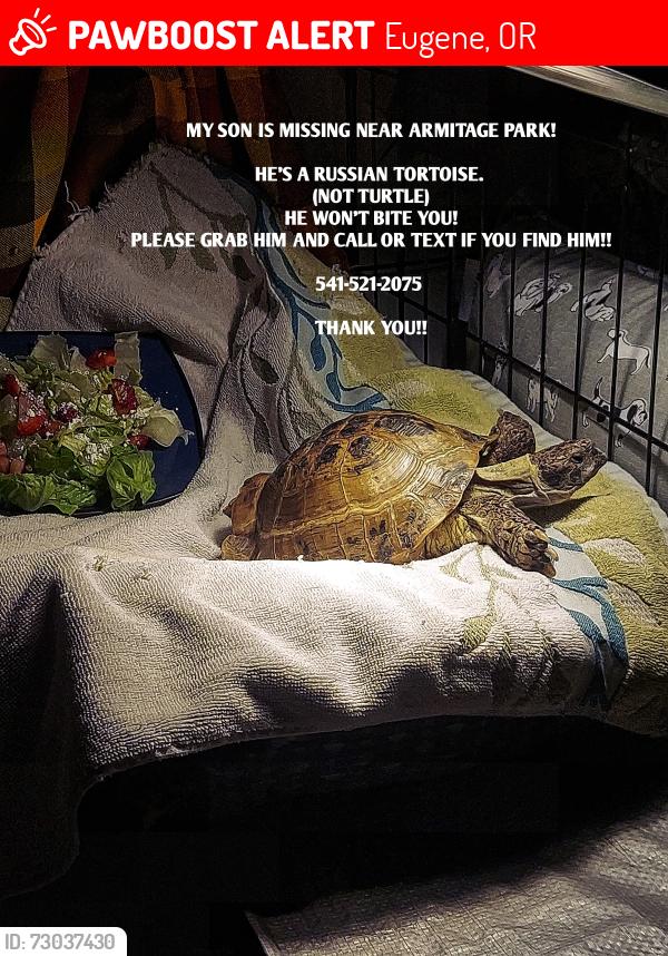 Lost Male Other last seen Armitage Park, Eugene, OR 97408