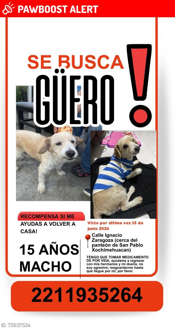 Lost Male Dog last seen Ignacio Zaragoza cerca del panteón de san Pablo Xochimehuacan, Heroica Puebla de Zaragoza, Pue. 