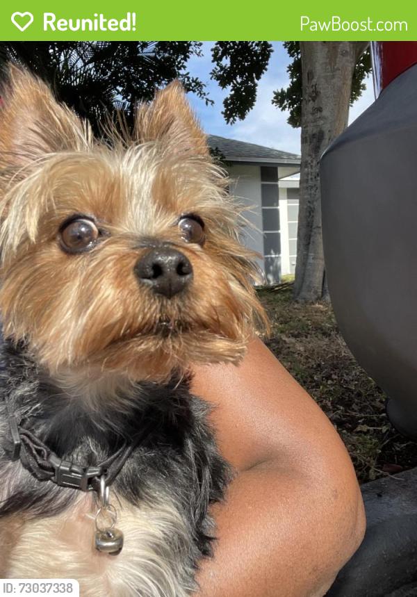 Reunited Male Dog last seen 12th fairway , Wellington, FL 33414