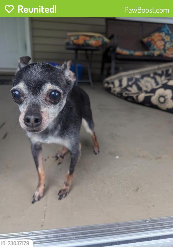 Reunited Unknown Dog last seen Ormond between Cleveland and Walford , Columbus, OH 43224
