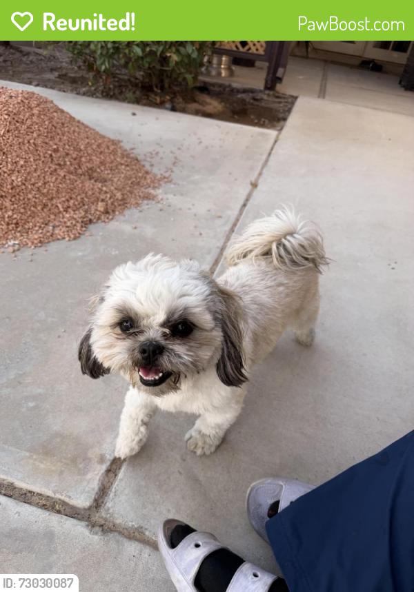 Reunited Male Dog last seen Paraiso and Sittingbull, Apple Valley, CA 92308