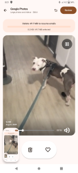 Lost Male Dog last seen Alvarado , Los Angeles, CA 90006