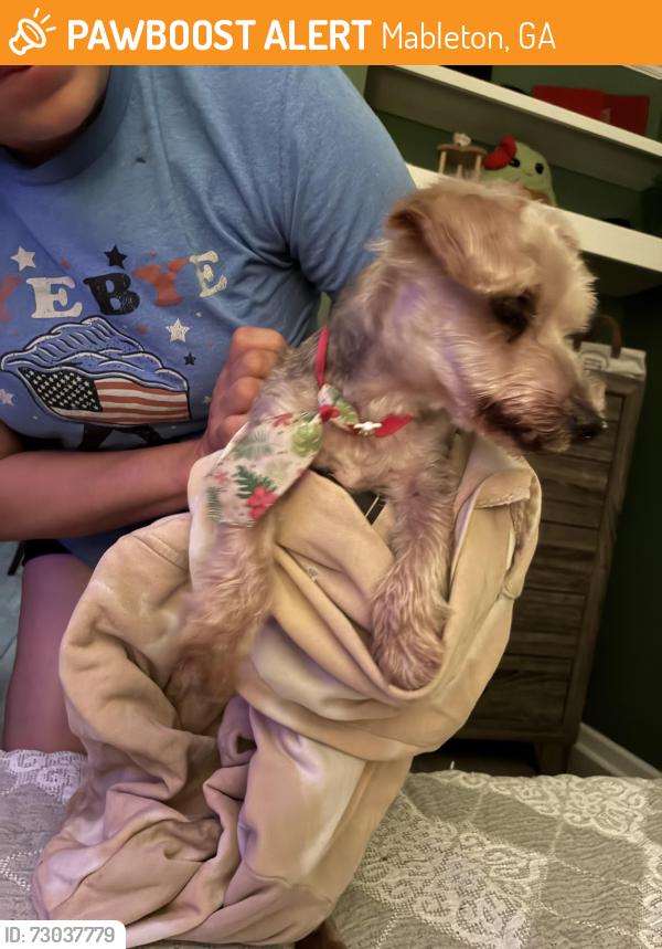 Found/Stray Male Dog last seen Veterans Memorial HWY Mabelton   , Mableton, GA 30126