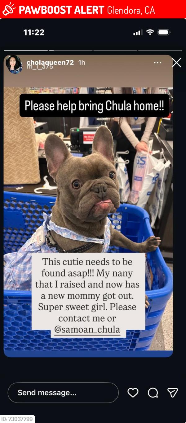 Lost Female Dog last seen Bonnie Cove and Glendora Ave , Glendora, CA 91740