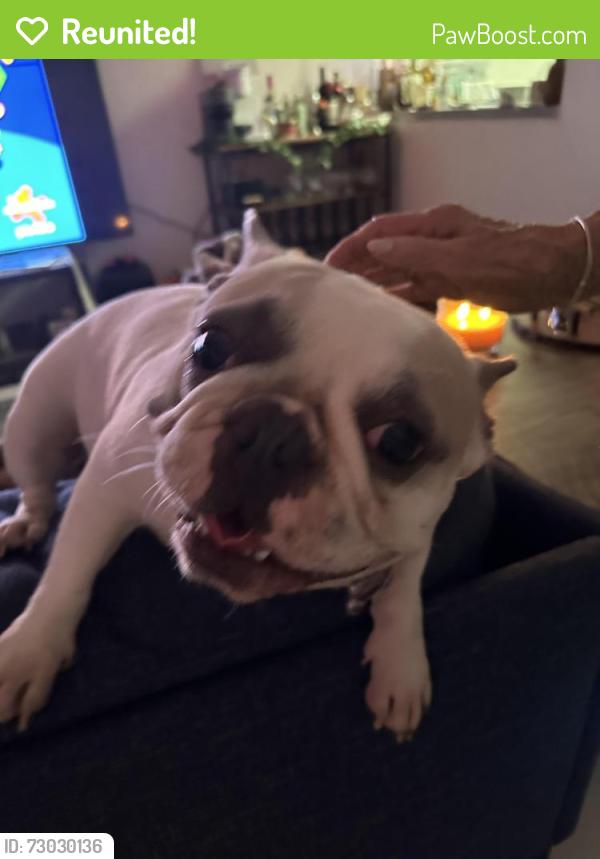 Reunited Female Dog last seen Unknown , Broward County, FL 33323
