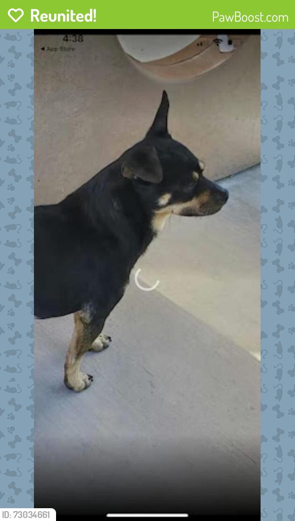 Reunited Male Dog last seen Flintcrest & Flinthaven (Main cross streets would be White & Cunningham), San Jose, CA 95148