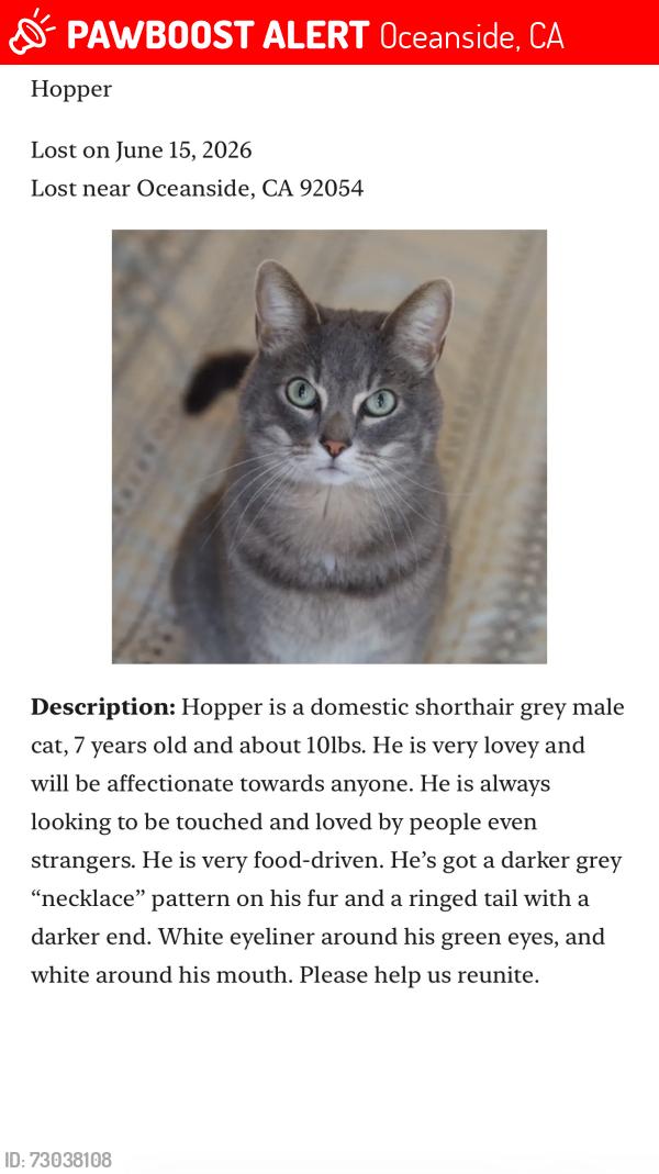 Lost Male Cat last seen Near Country Club apmts , Oceanside, CA 92054