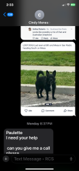 Lost Male Dog last seen Pacific ave, Los Angeles, CA 90731