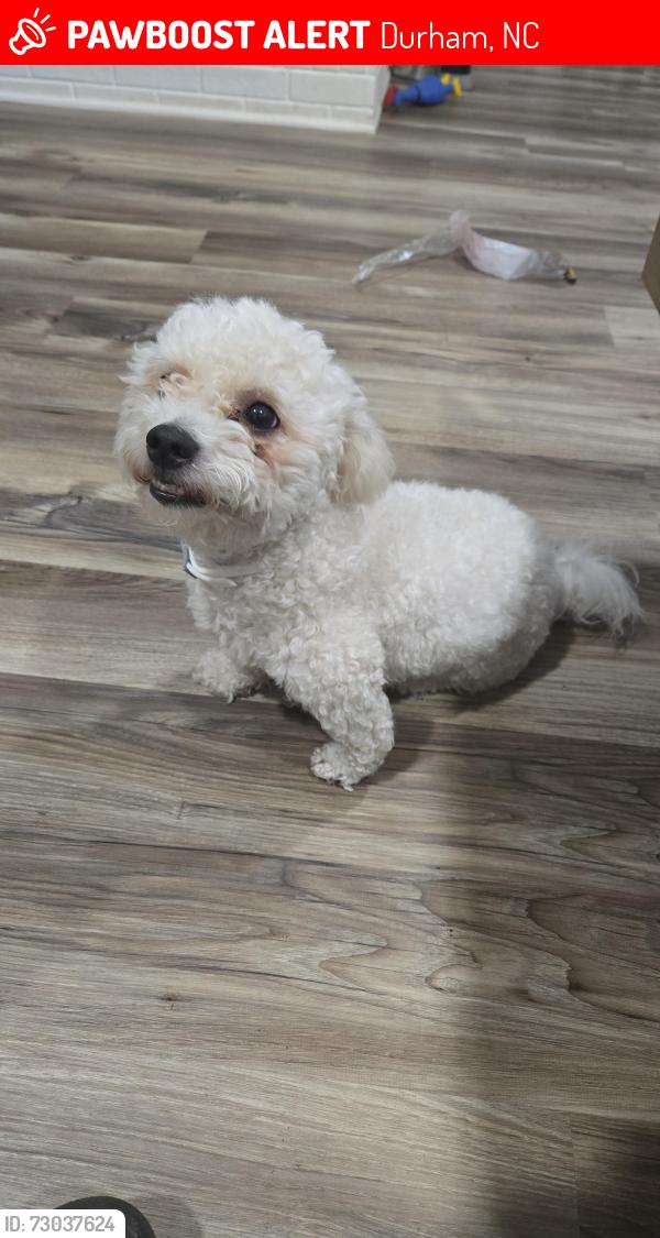 Lost Male Dog last seen Barbee rd , Durham, NC 27713