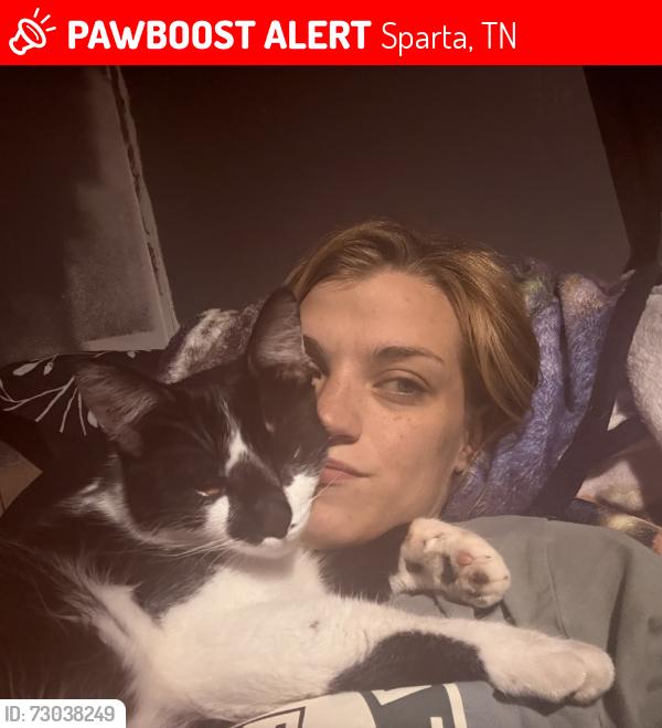 Lost Male Cat last seen flt rock Rd, Sparta, TN 38583