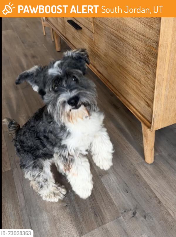 Found/Stray Male Dog last seen Near and sport city, South Jordan, UT 84095