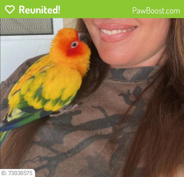 Reunited Unknown Bird last seen Los Coches Rd E and Calle De Buena Fe, Lakeside, CA 92021