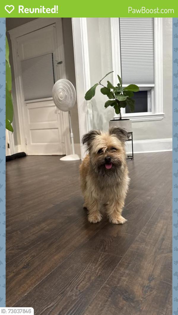 Reunited Unknown Dog last seen Highlands, Lowell, MA 01851