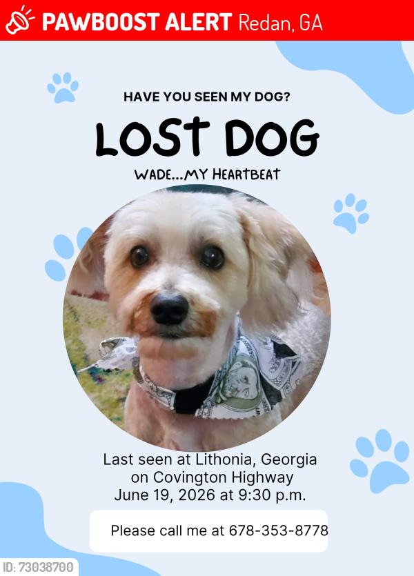 Lost Male Dog last seen Wellington Circle, Lithonia Ga, Redan, GA 30058