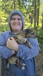 Reunited Female Dog last seen Cynthia Lane, Port Orchard, WA 98367