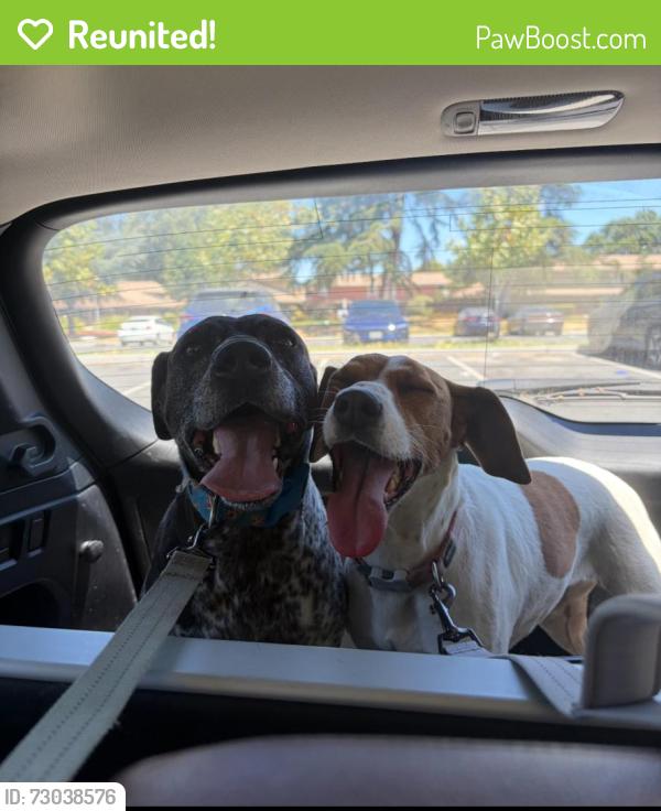 Reunited Male Dog last seen Solano way, Concord, CA 94520