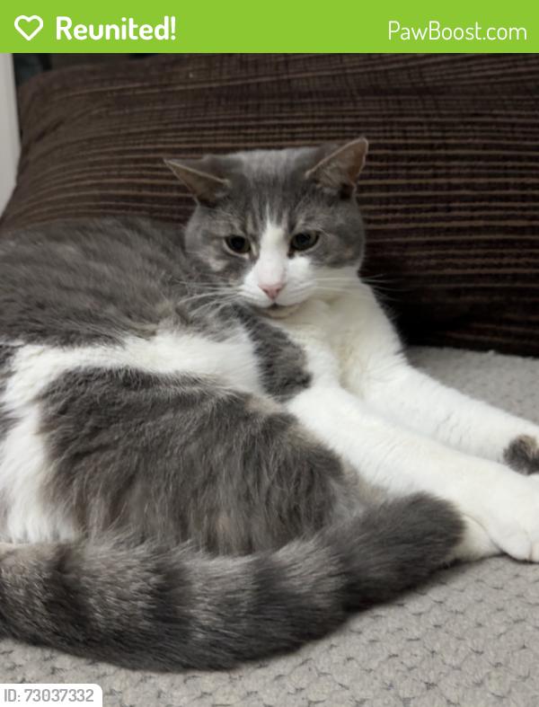 Reunited Male Cat last seen King Edward park , Nottingham, England 