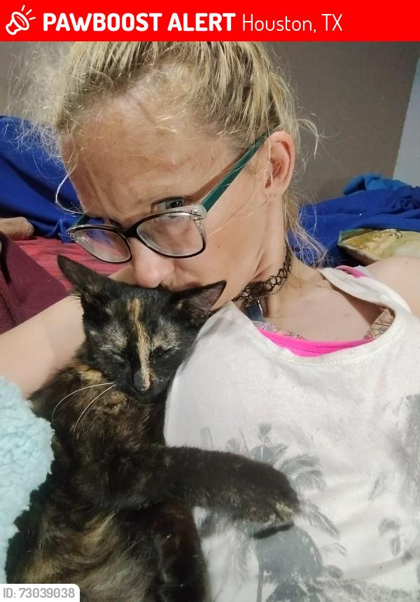 Lost Female Cat last seen Near Texas Ave, Houston, TX 77003, Houston, TX 77003